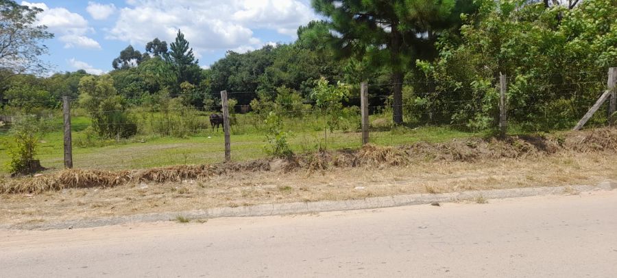 Ch�cara - Venda - Campo do Bonsucesso - Pira� do Sul - PR